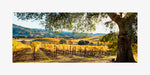 Hogan Fine Art Photography 12 x 24" Panoramic Matted Print