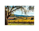 Hogan Fine Art Photography 16 x 20 Horizontal Matted Print