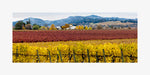 Hogan Fine Art Photography 12 x 24" Panoramic Matted Print