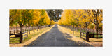 Hogan Fine Art Photography 12 x 24" Panoramic Matted Print