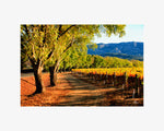 Hogan Fine Art Photography 16 x 20 Horizontal Matted Print