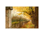 Hogan Fine Art Photography 16 x 20 Horizontal Matted Print
