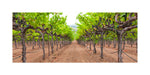 Hogan Fine Art Photography 12 x 24" Panoramic Matted Print