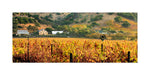 Hogan Fine Art Photography 12 x 24" Panoramic Matted Print