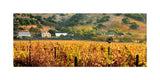 Hogan Fine Art Photography 12 x 24" Panoramic Matted Print