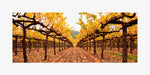 Hogan Fine Art Photography 12 x 24" Panoramic Matted Print