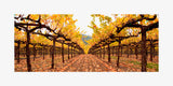 Hogan Fine Art Photography 12 x 24" Panoramic Matted Print