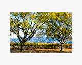 Hogan Fine Art Photography 16 x 20 Horizontal Matted Print