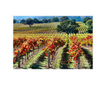 Hogan Fine Art Photography 16 x 20 Horizontal Matted Print