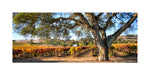 Hogan Fine Art Photography 12 x 24" Panoramic Matted Print