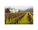Hogan Fine Art Photography 16 x 20 Horizontal Matted Print