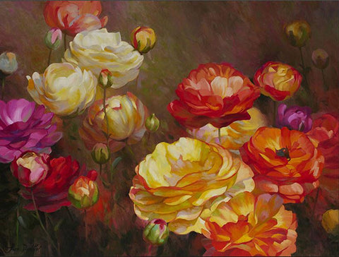 Rhapsody of Ranunculas - Canvas Print