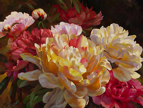 June Peonies - Canvas Print