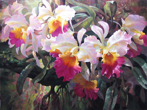 Cattleya Magnificent - canvas print