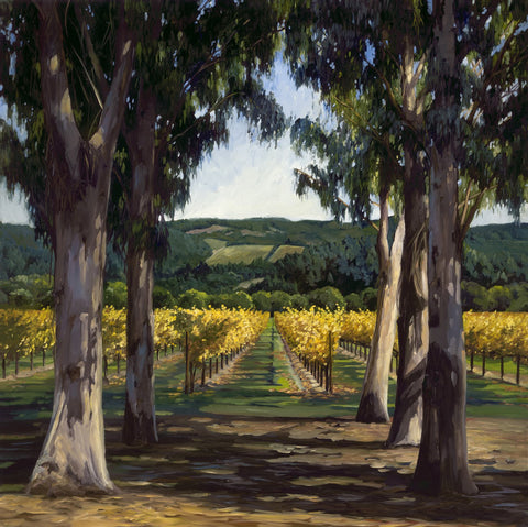Afternoon Sun by Susan Hoehn features a Napa Valley vineyard in fall and eucalyptus trees.