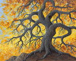 The Mighty Oak - canvas prints