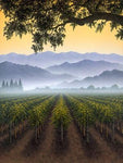Autumn Mist
