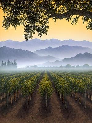 Autumn Mist