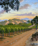 Country Vineyard - canvas print