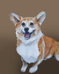 Corgi - loveable dog portrait by renowned Napa Valley artist Gail Chandler