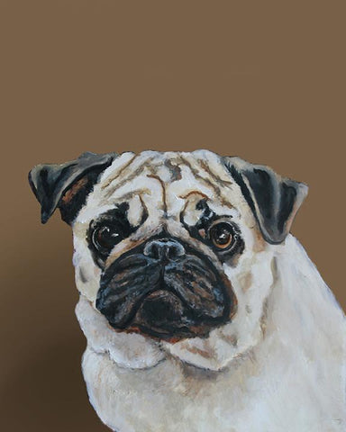 Pug 1 by contemporary realism artist Gail Chandler