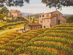 Italian Countryside