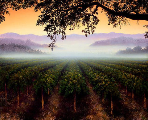 Misty Morning 1