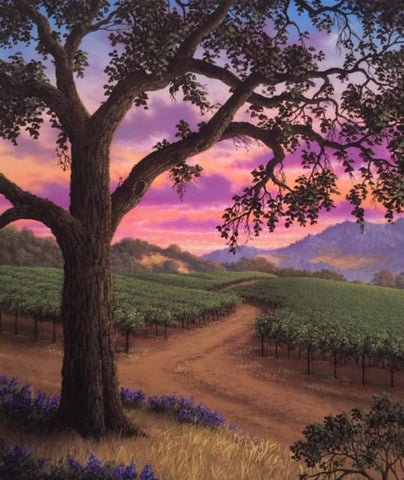Path Through the Vineyard