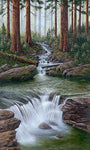 Redwood Creek limited edition canvas giclee print by Patrick O'Rourke