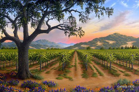 Spring Bouquet in the Napa Valley