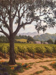 Spring in Napa