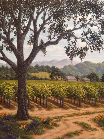 Spring in Napa