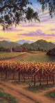 St Helena Vineyard