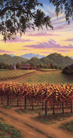St Helena Vineyard