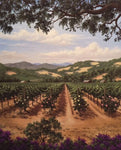Vineyard Roses