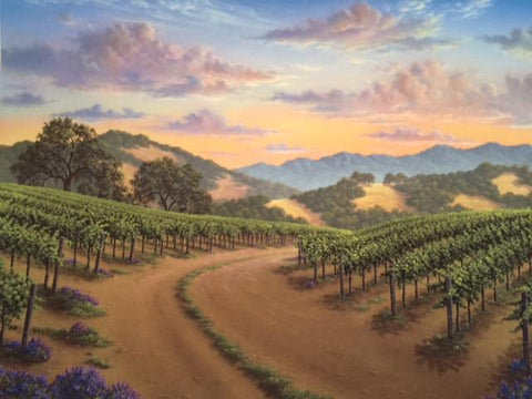 Wandering Through the Vineyard