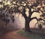 Winter Oak