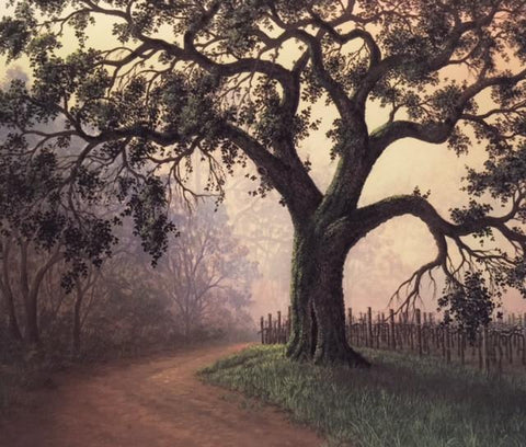 Winter Oak